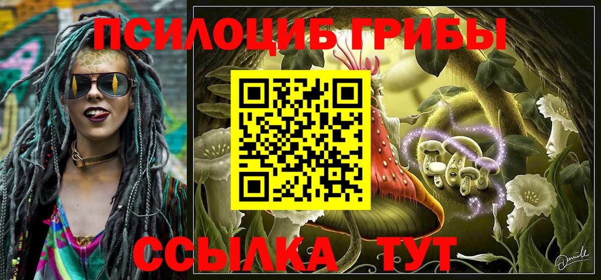 Псилоцибиновые грибы ЛСД Новокуйбышевск