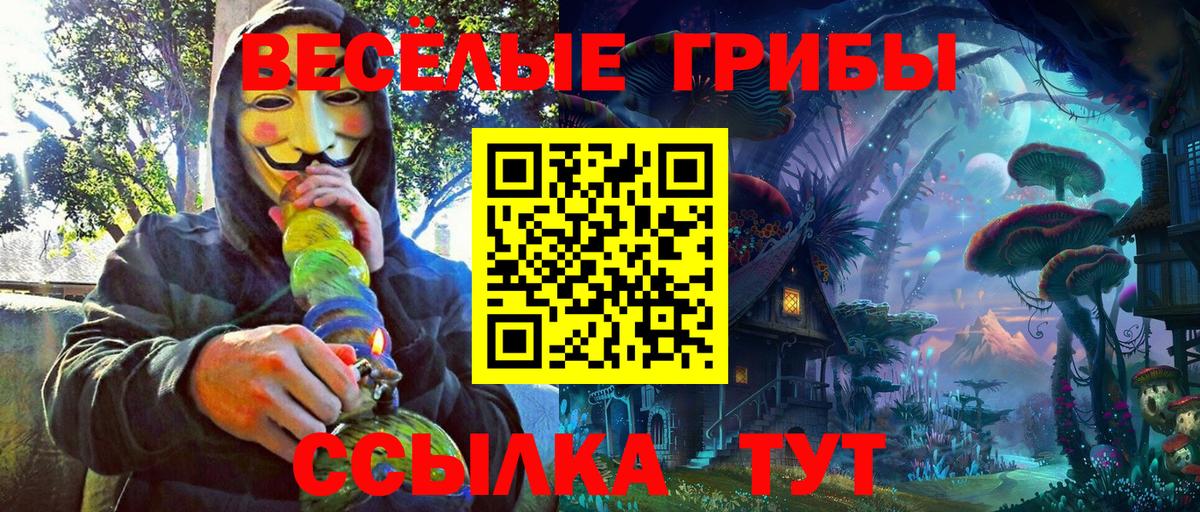 Новокуйбышевск  Галлюциногенные грибы мухоморы  сколько стоит  Вход с VPN 